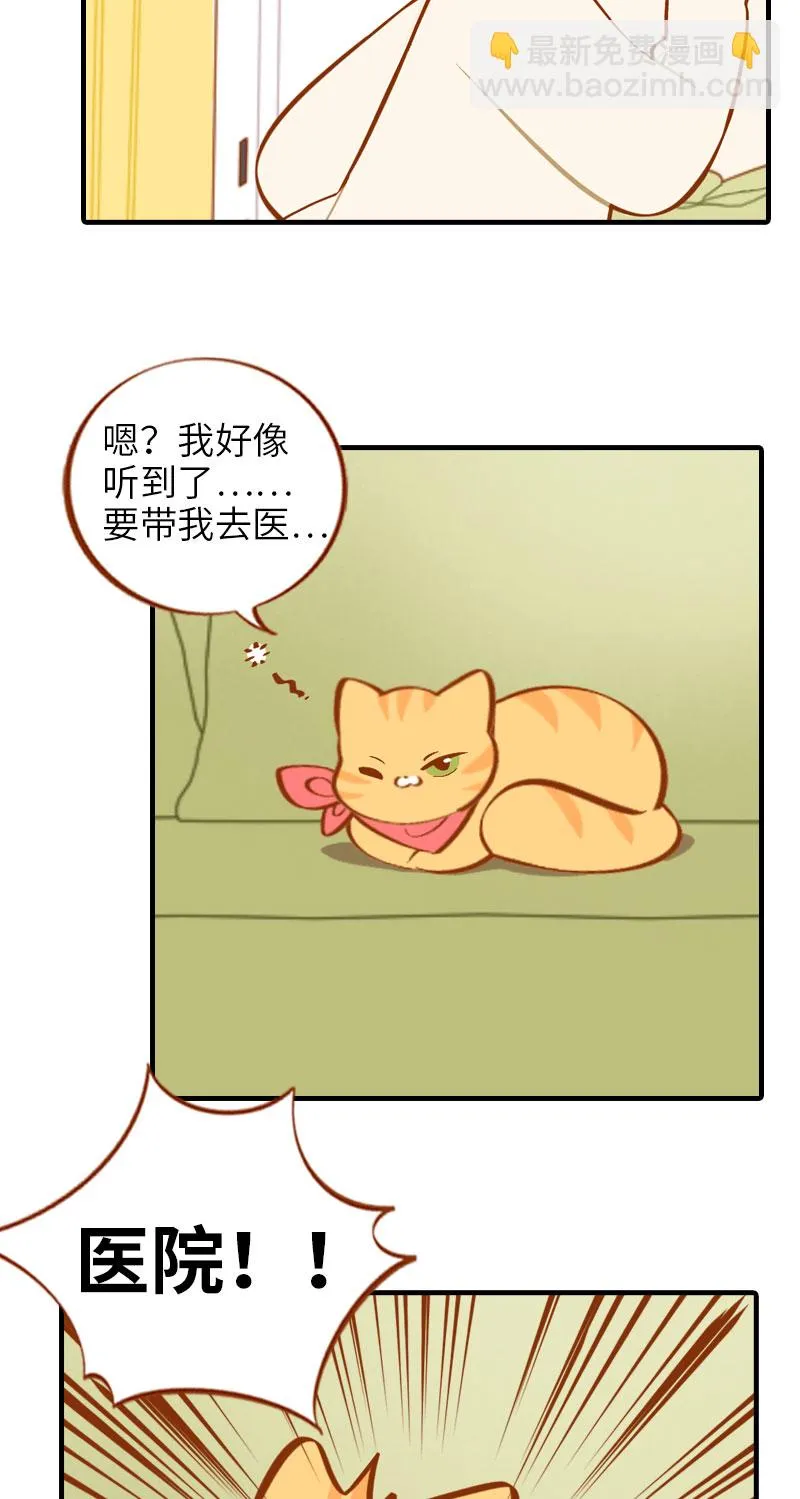 第13话 橘子呼噜呼噜 第5页