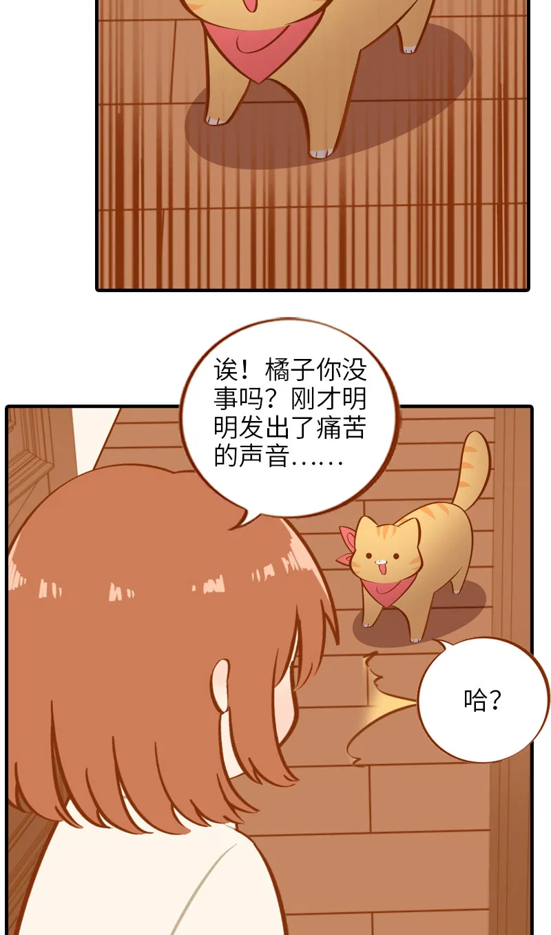 第13话 橘子呼噜呼噜 第10页