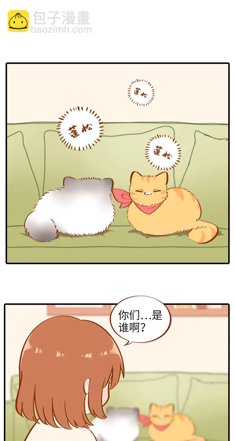 第16话 猫咪的冬季限定-爆毛 第2页