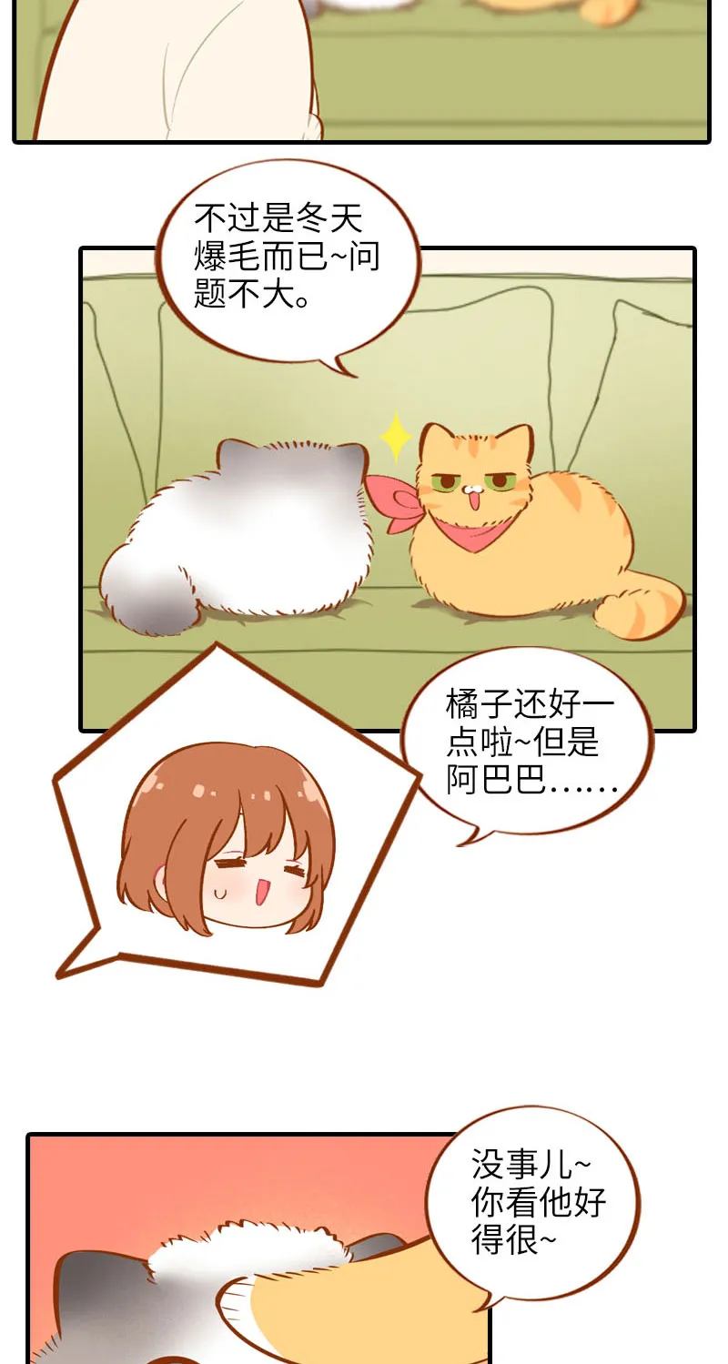 第16话 猫咪的冬季限定-爆毛 第3页
