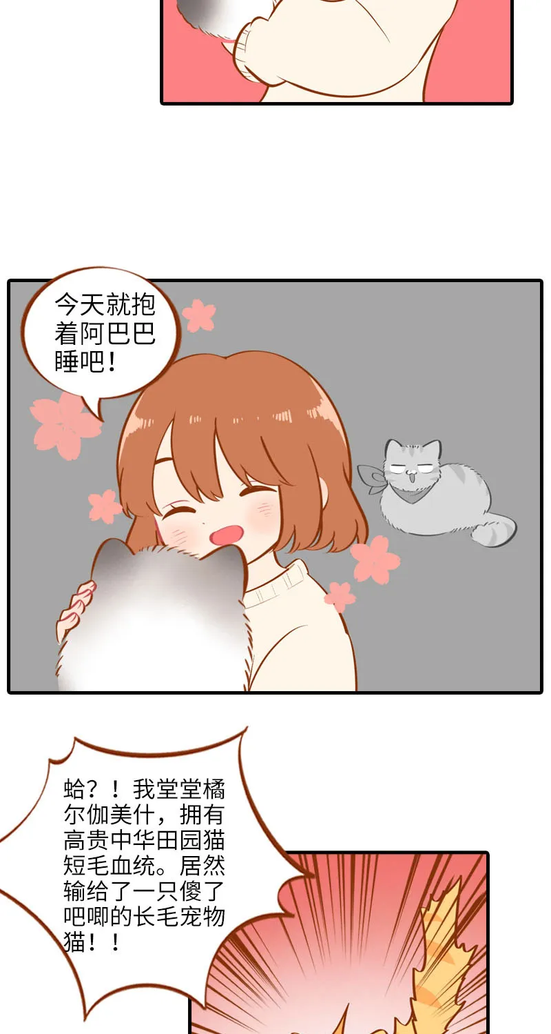 第16话 猫咪的冬季限定-爆毛 第5页