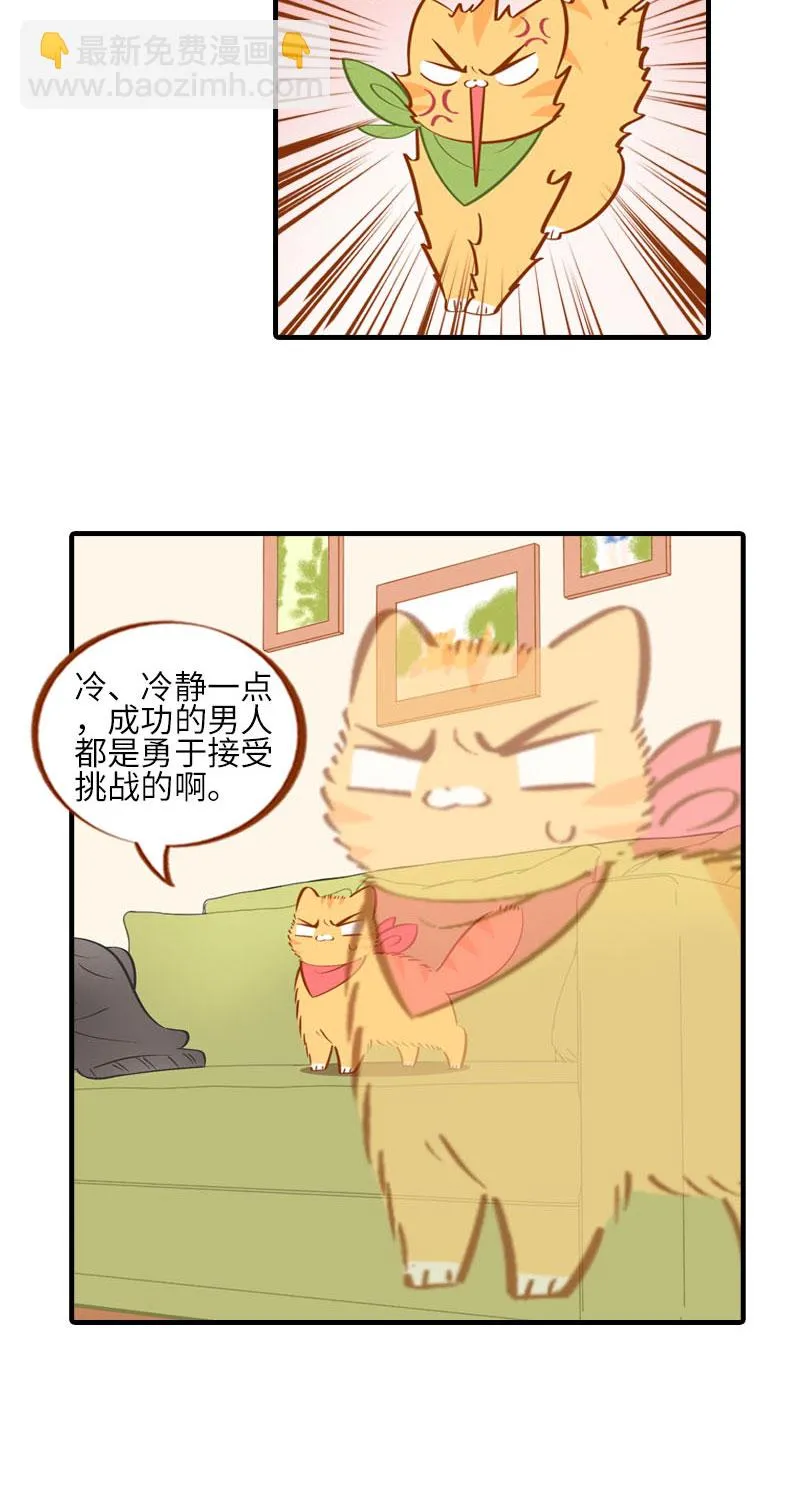 第16话 猫咪的冬季限定-爆毛 第6页