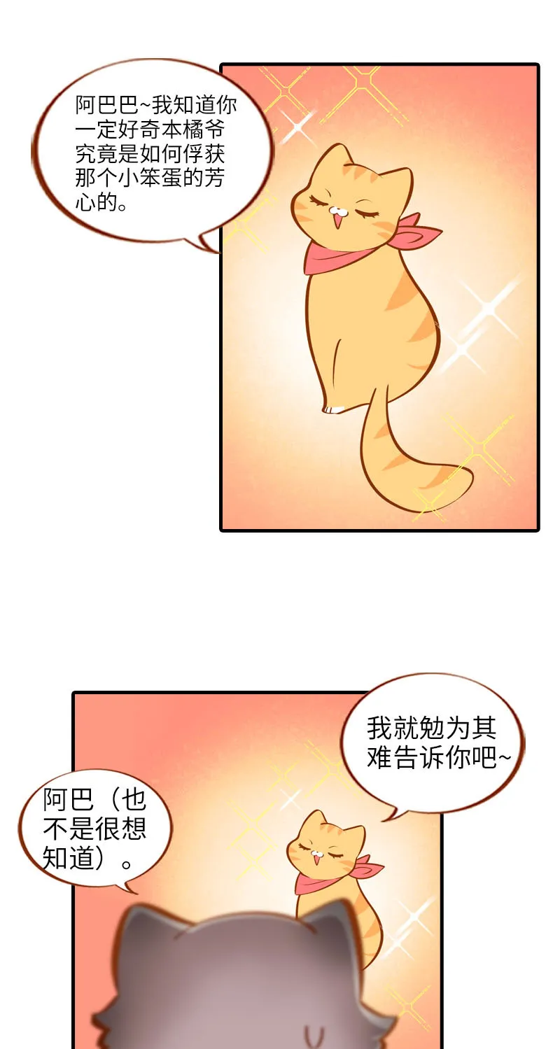 第17话 橘子的自我攻略 第2页