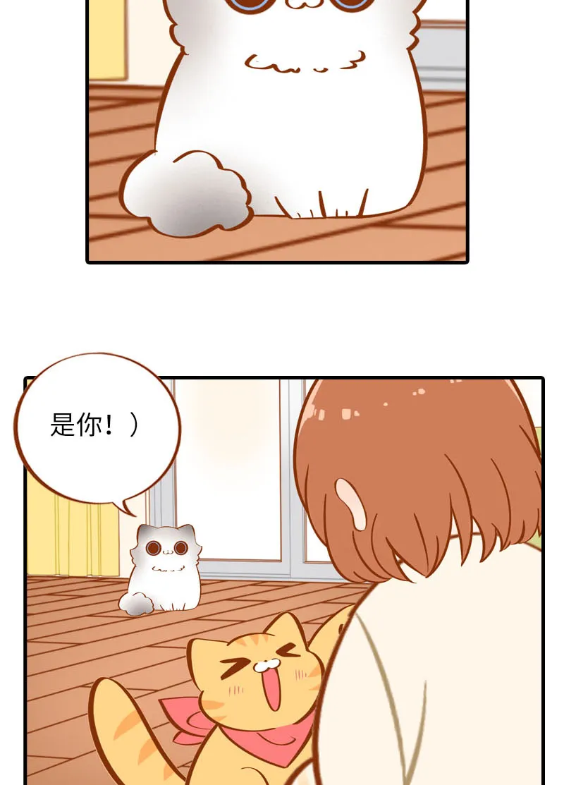 第17话 橘子的自我攻略 第11页