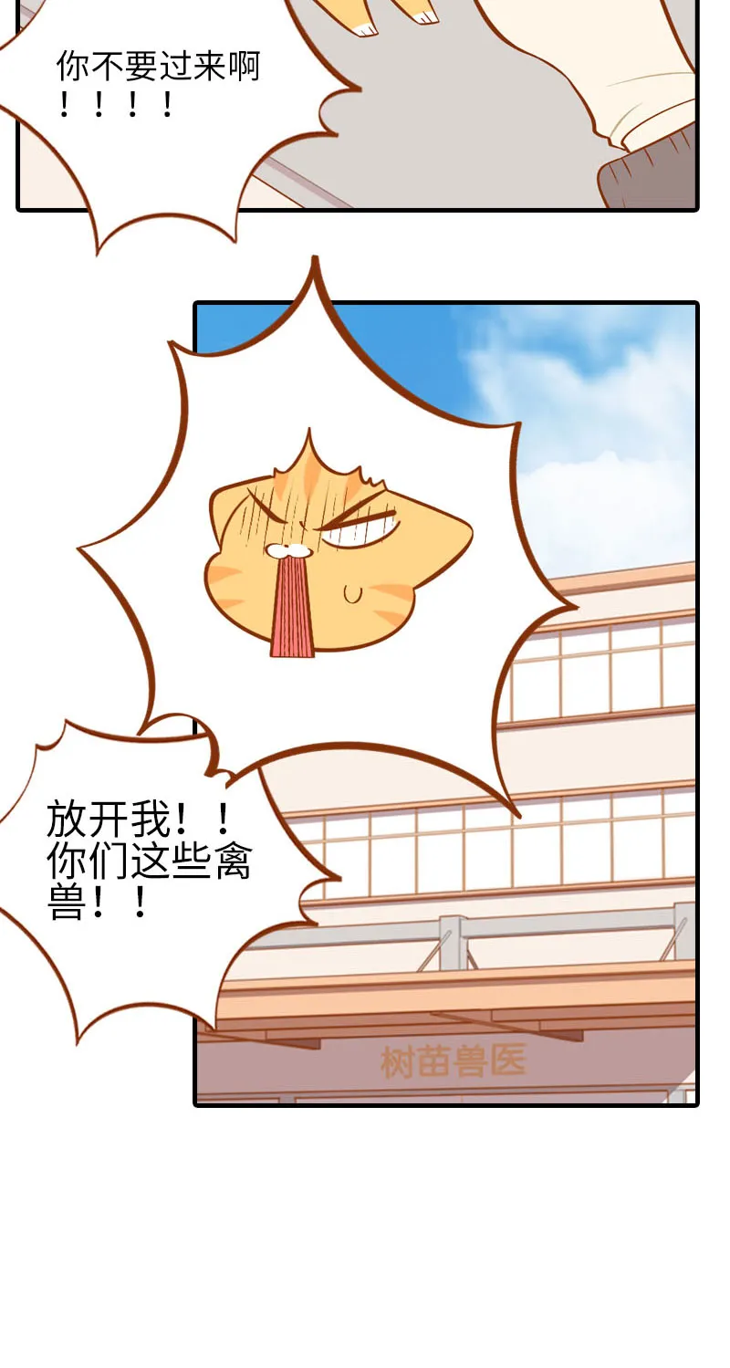 第18话 宠物医院初体验 第6页