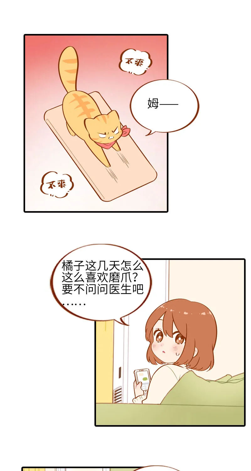 第20话 因磨爪而起的饭局 第2页