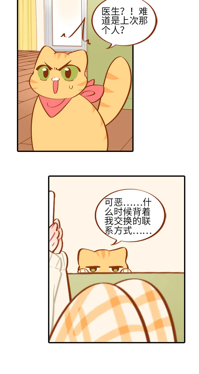 第20话 因磨爪而起的饭局 第3页