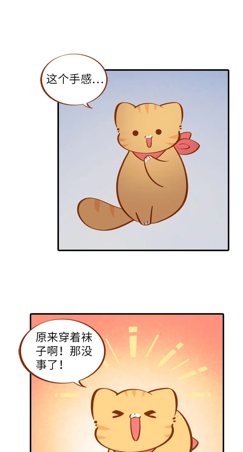 第23话 光腿神器 第8页