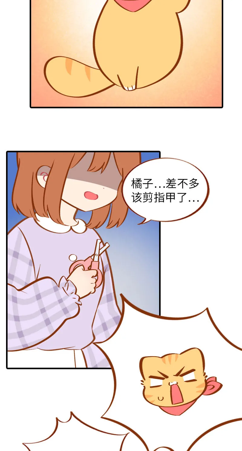 第23话 光腿神器 第9页