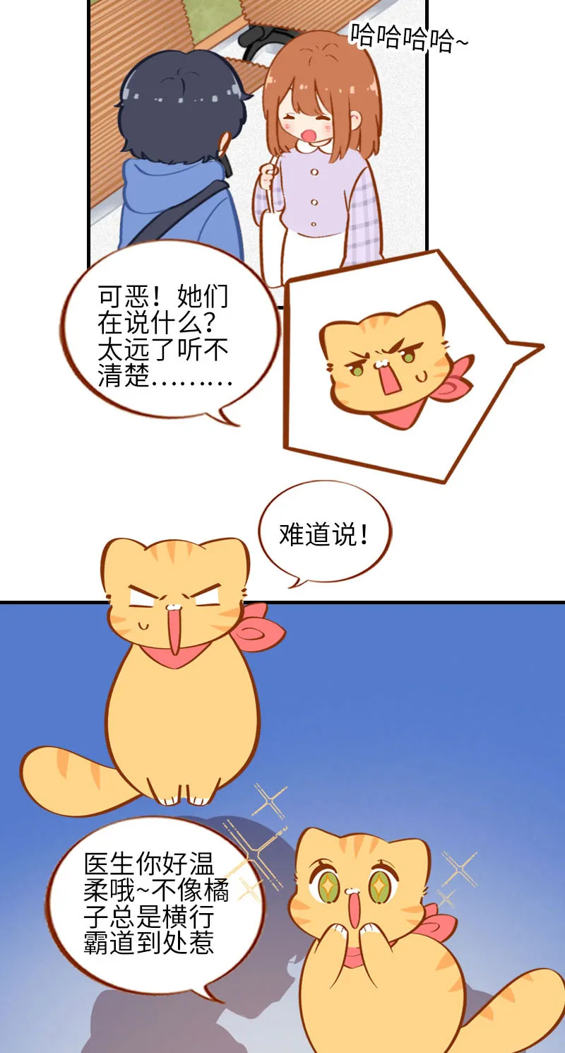 第24话 吃醋的小猫咪-橘子 第4页