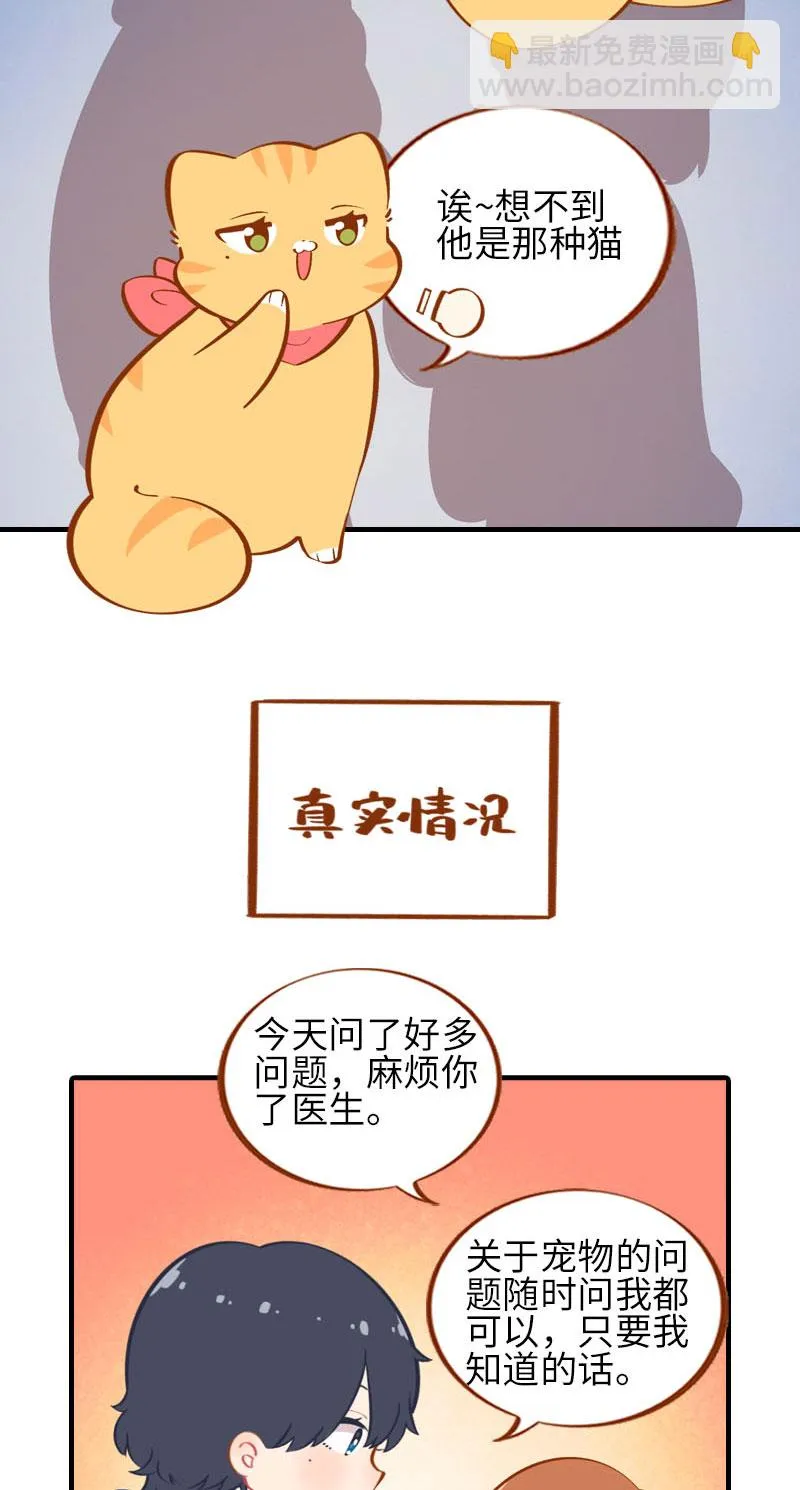 第24话 吃醋的小猫咪-橘子 第5页