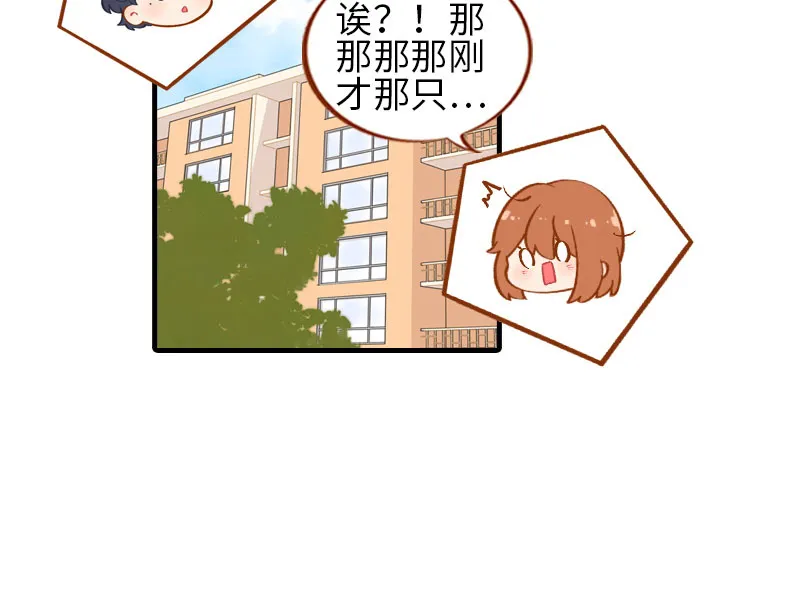 番外1 差一点就失去你了 第15页