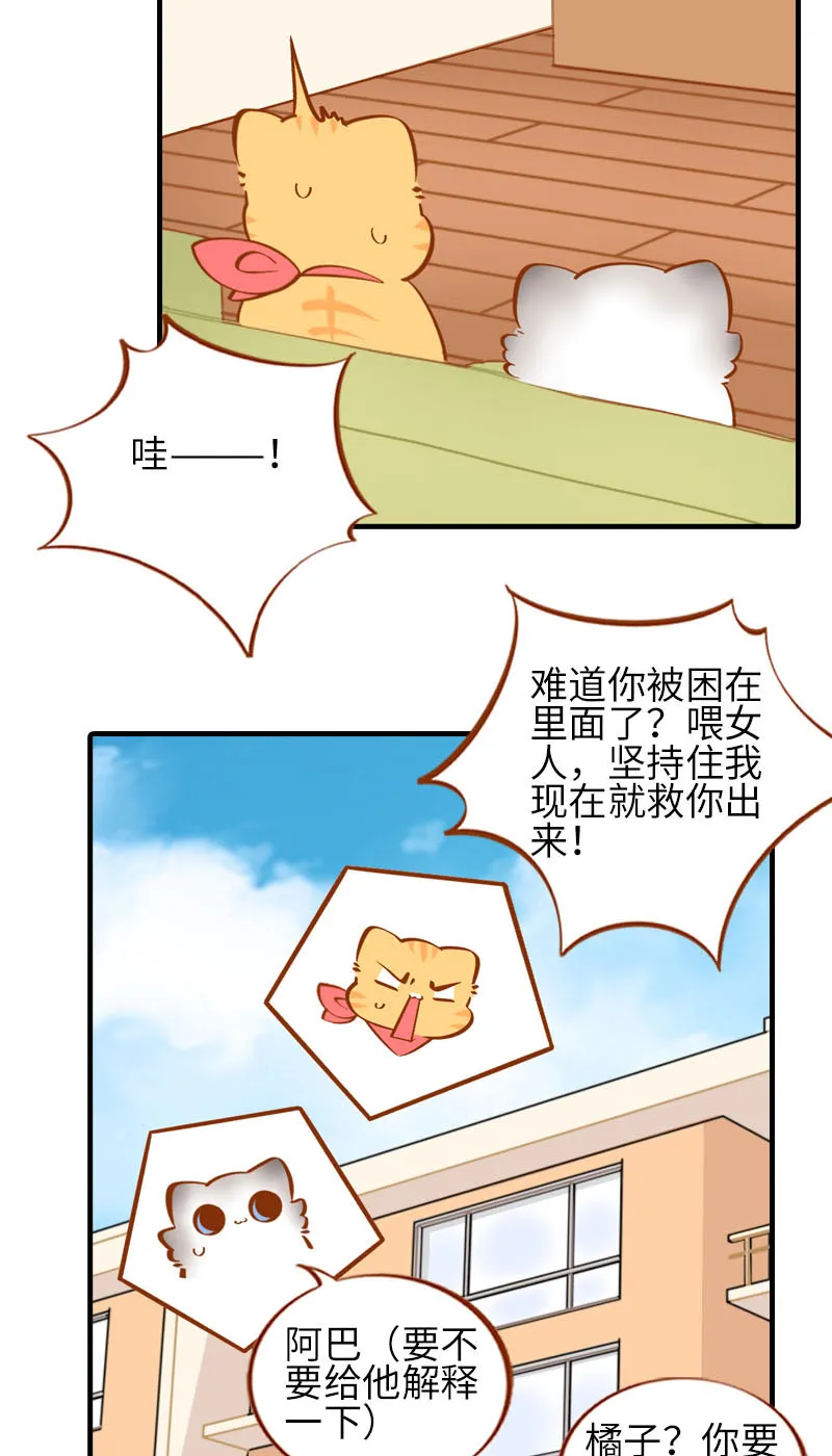 第25话 喂喂~监视器测试中 第11页