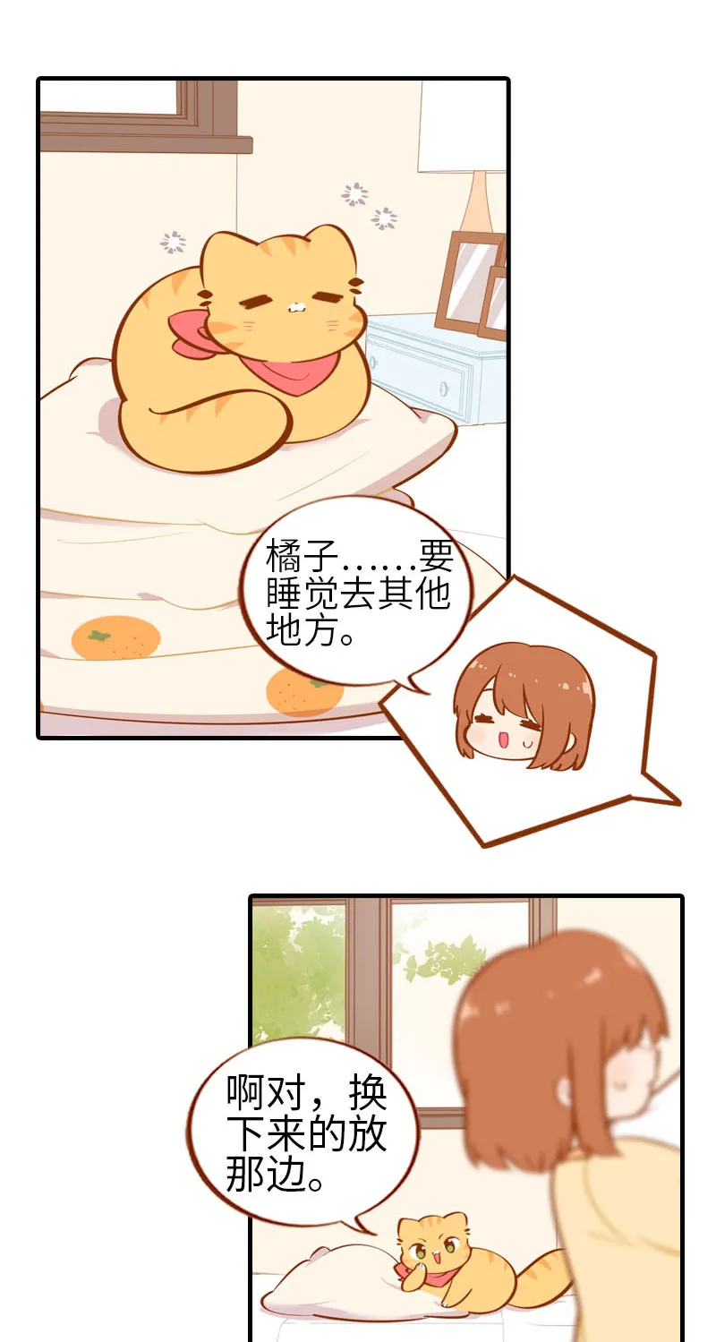 第28话 热衷参与家事的男主人 第4页