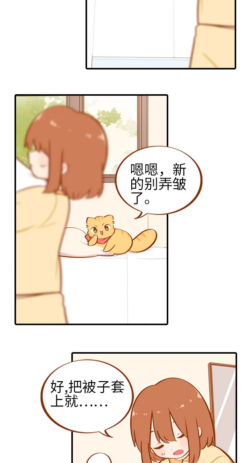 第28话 热衷参与家事的男主人 第5页