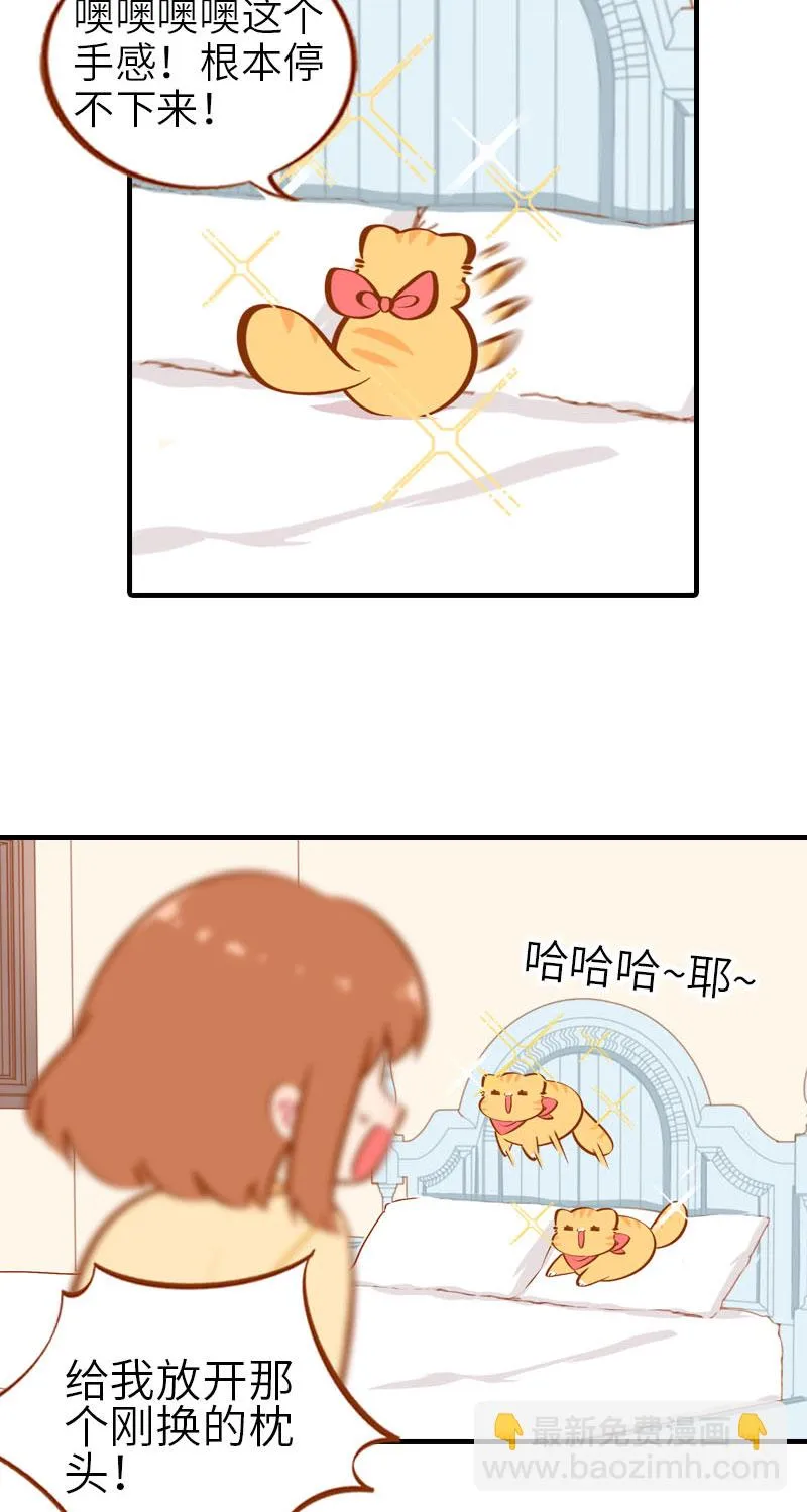 第28话 热衷参与家事的男主人 第10页