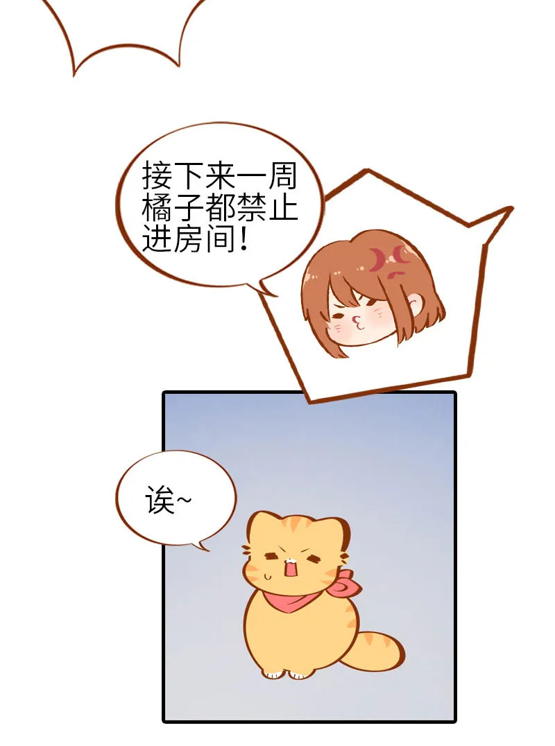 第28话 热衷参与家事的男主人 第11页
