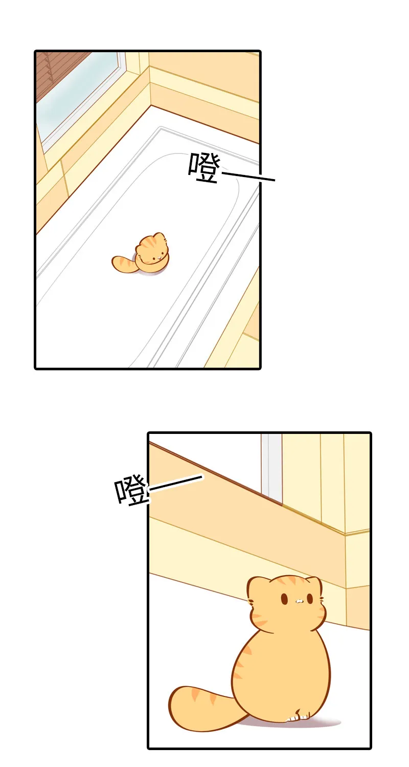 第30话 一年一度洗澡日 第2页