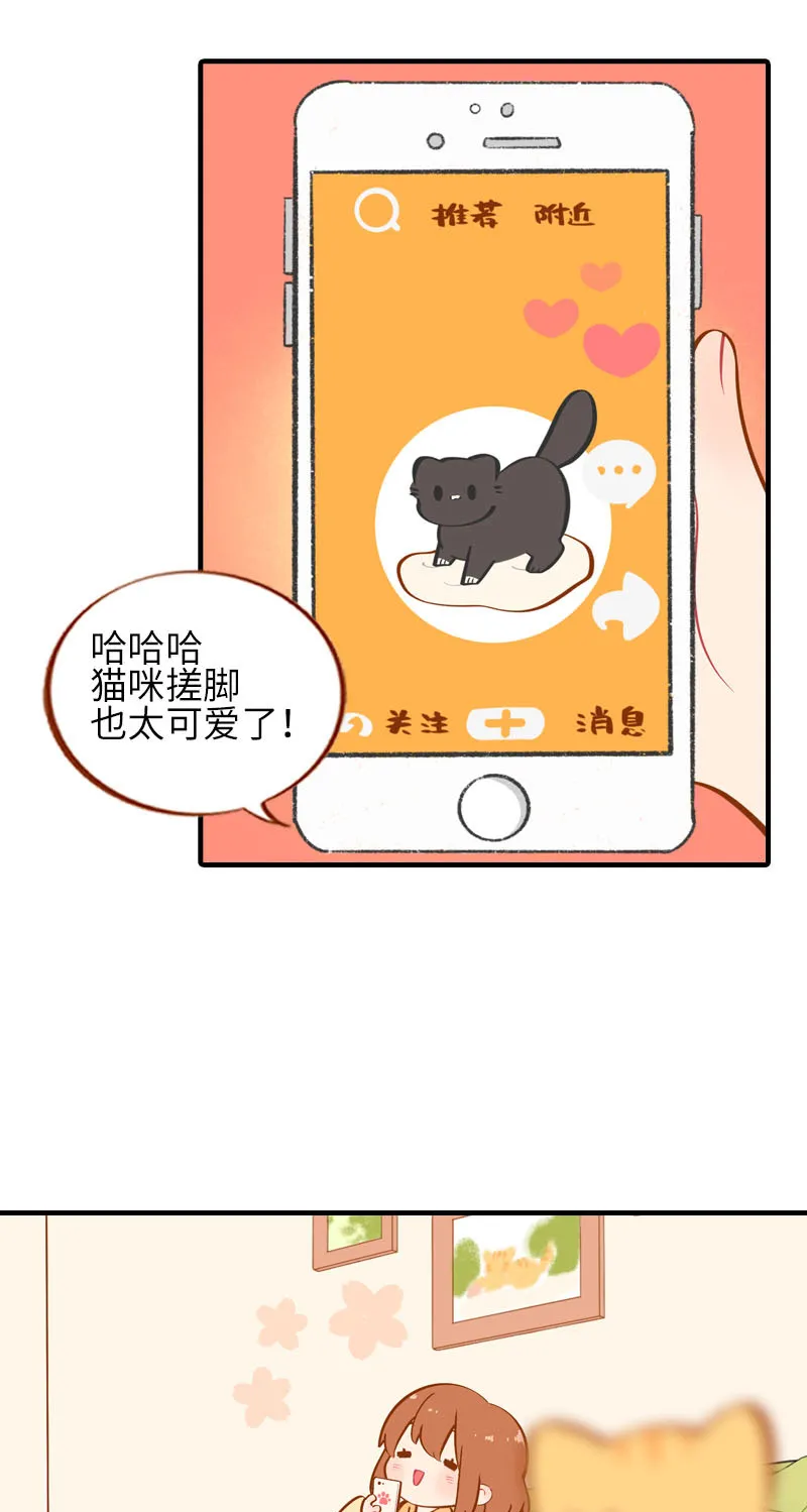 第31话 猫咪搓脚？安排！ 第2页