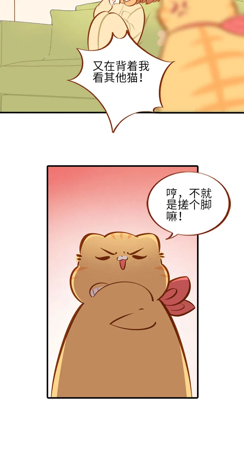 第31话 猫咪搓脚？安排！ 第3页