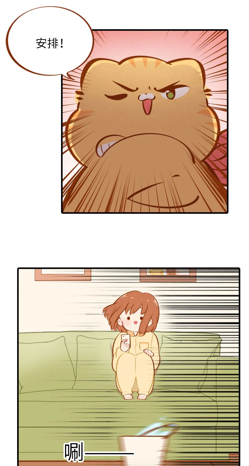 第31话 猫咪搓脚？安排！ 第4页