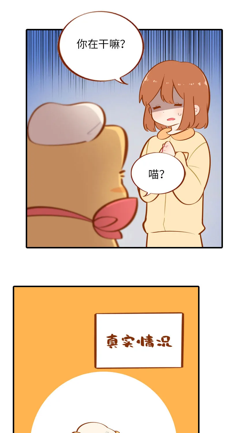 第31话 猫咪搓脚？安排！ 第8页
