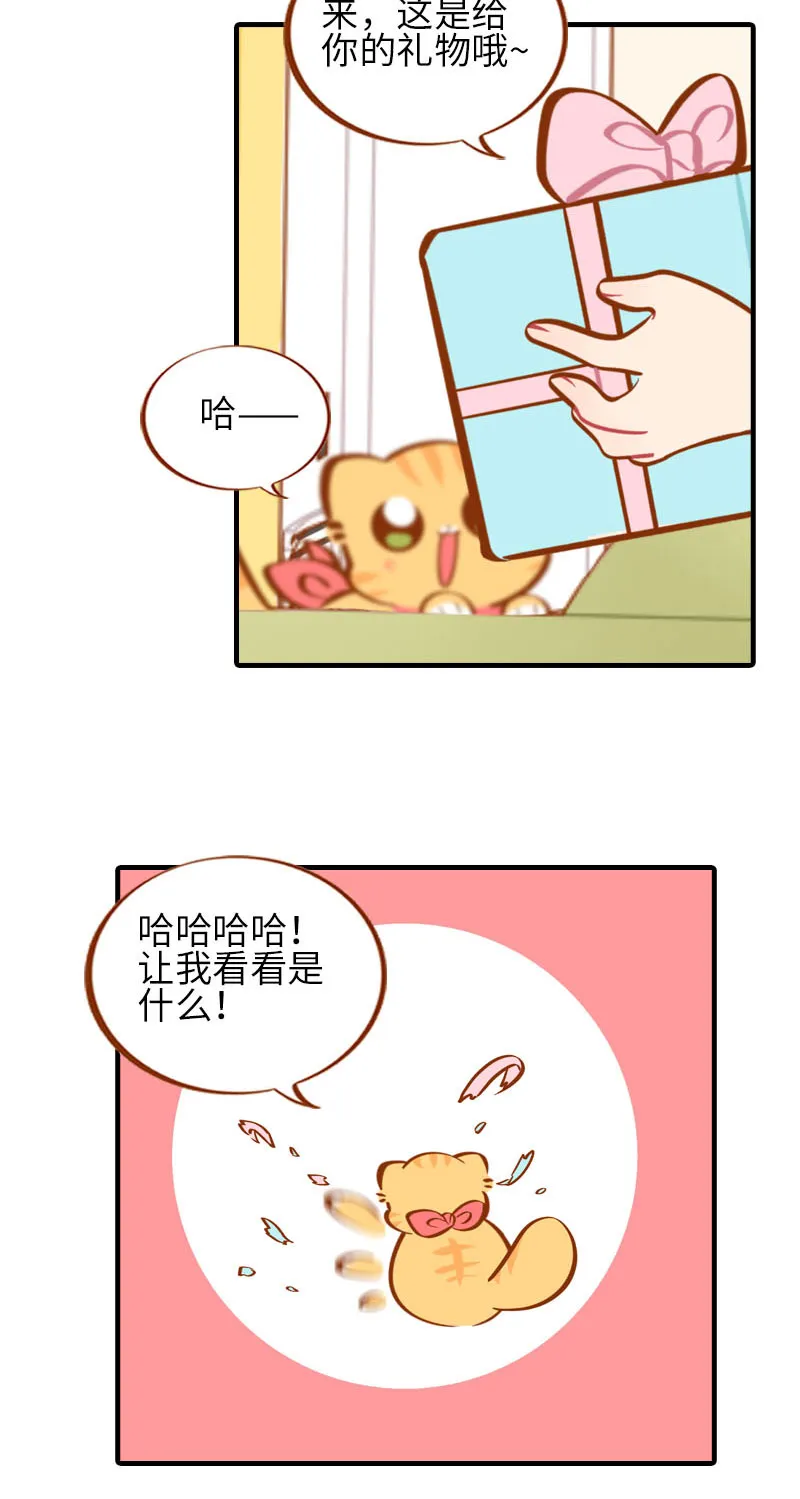 第32话 橘子来拆礼物了！ 第5页