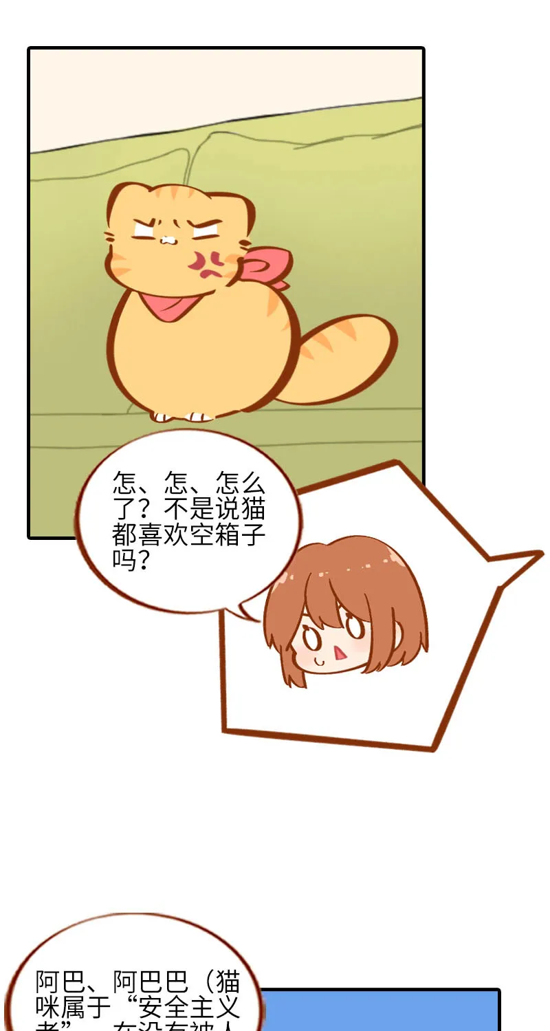 第32话 橘子来拆礼物了！ 第8页