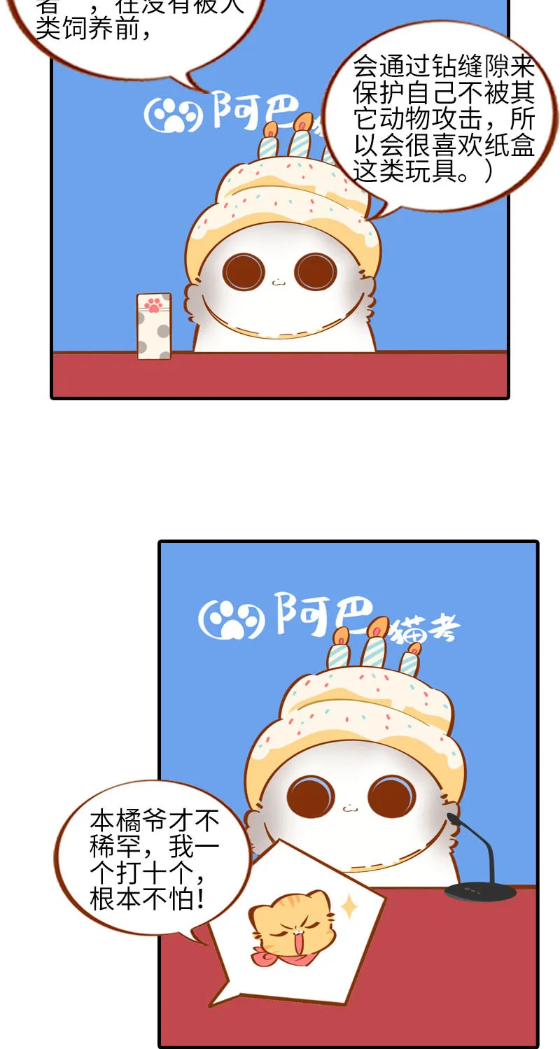 第32话 橘子来拆礼物了！ 第9页