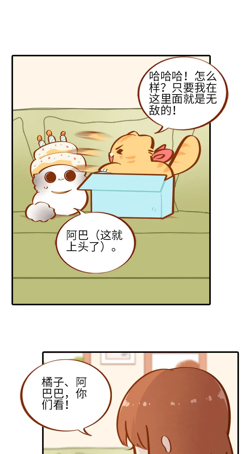 第33话 许个愿吧~ 第2页
