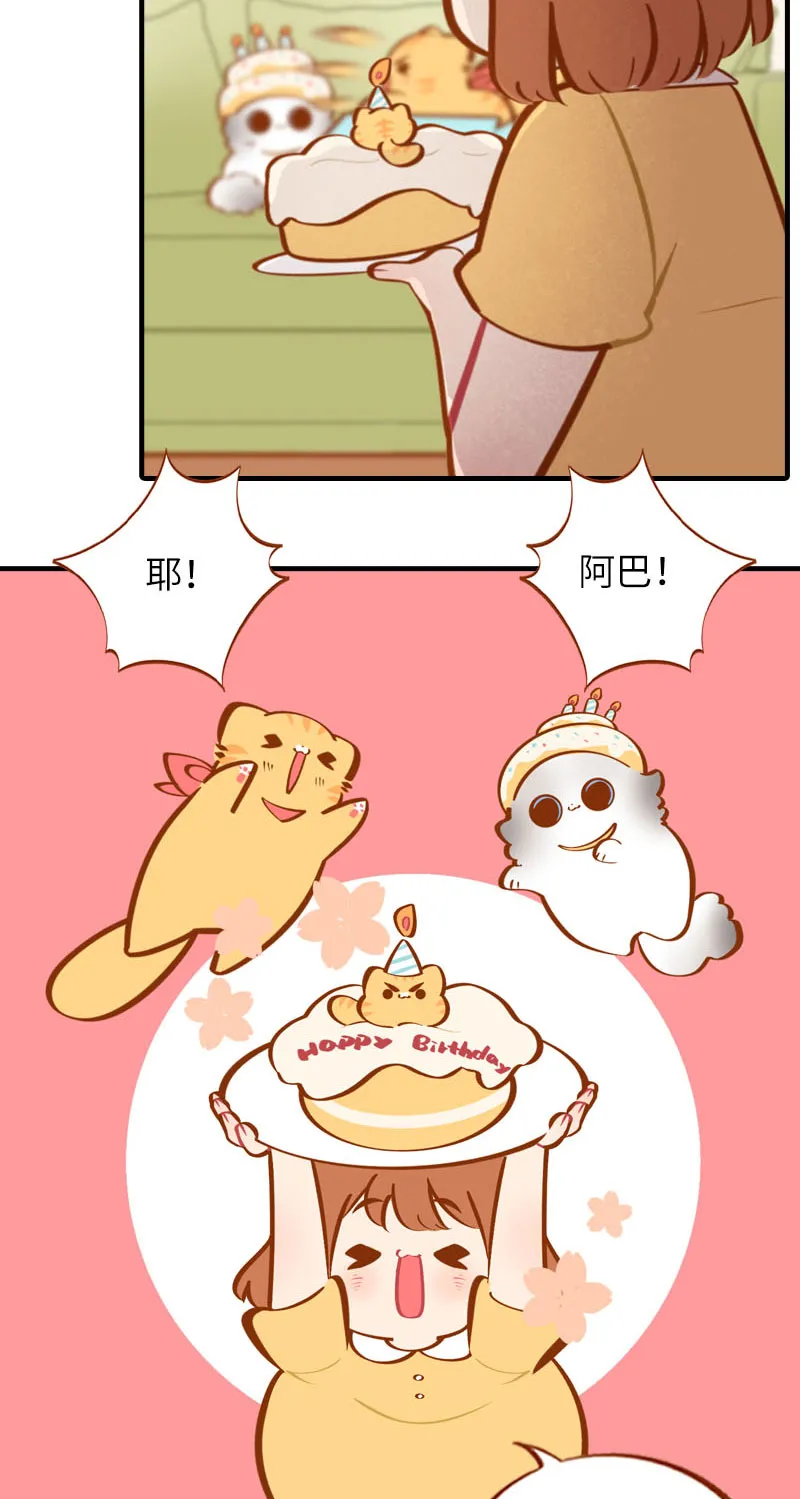 第33话 许个愿吧~ 第3页
