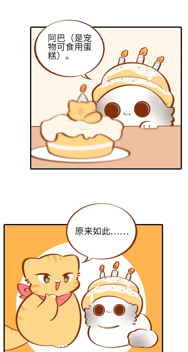 第33话 许个愿吧~ 第8页