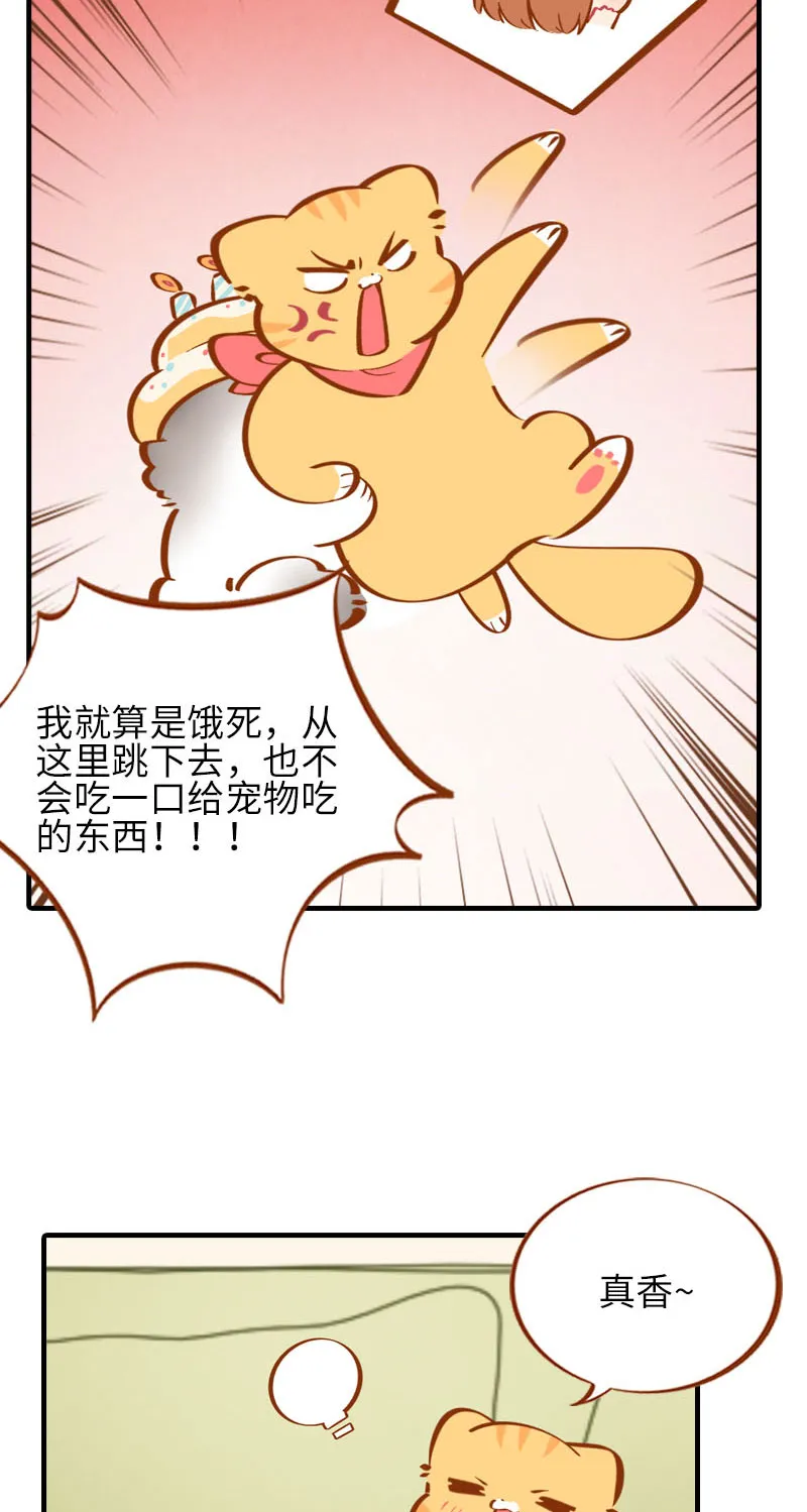 第33话 许个愿吧~ 第10页