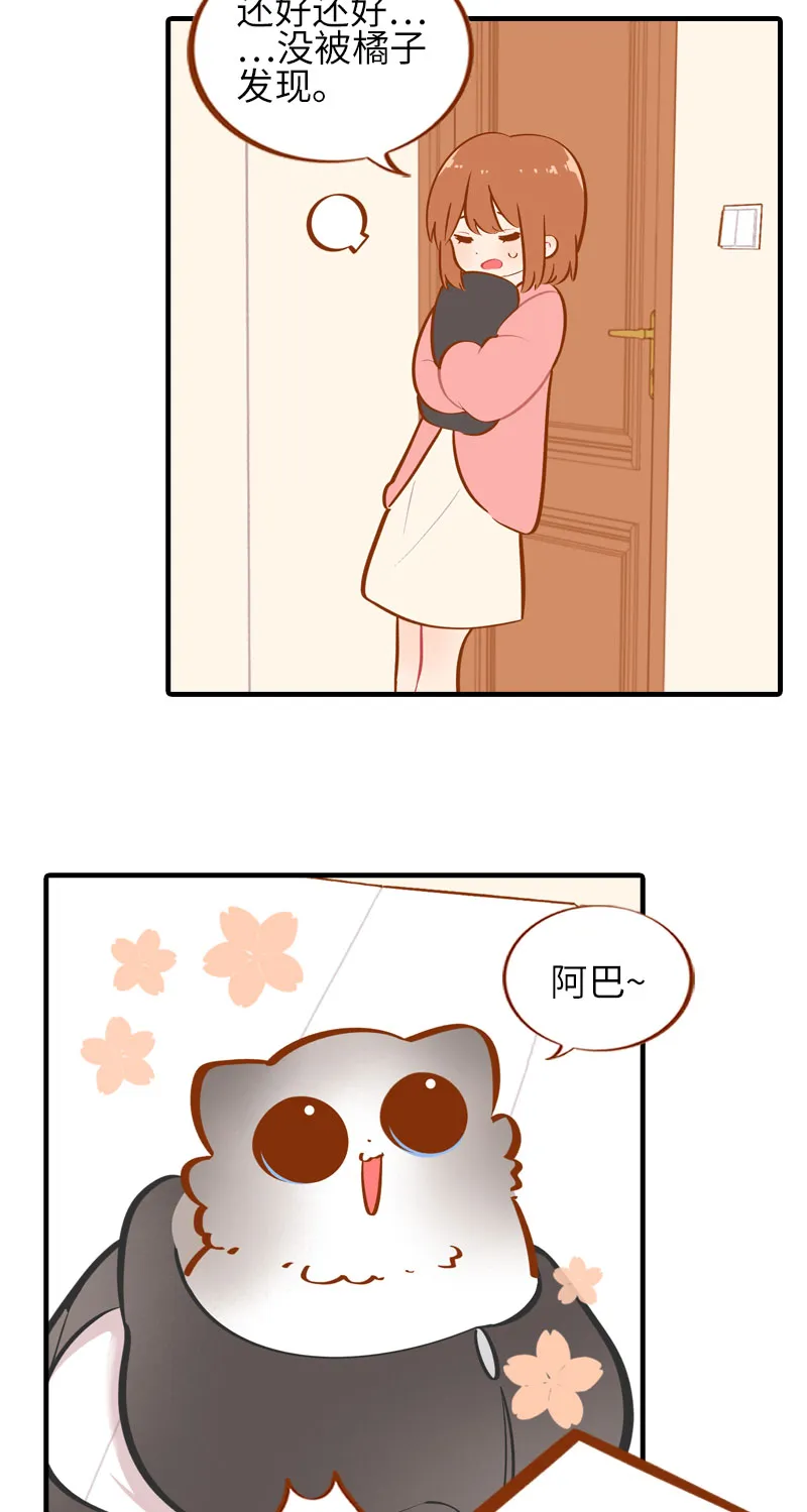 第35话 橘子和阿巴巴的初次见面 第5页