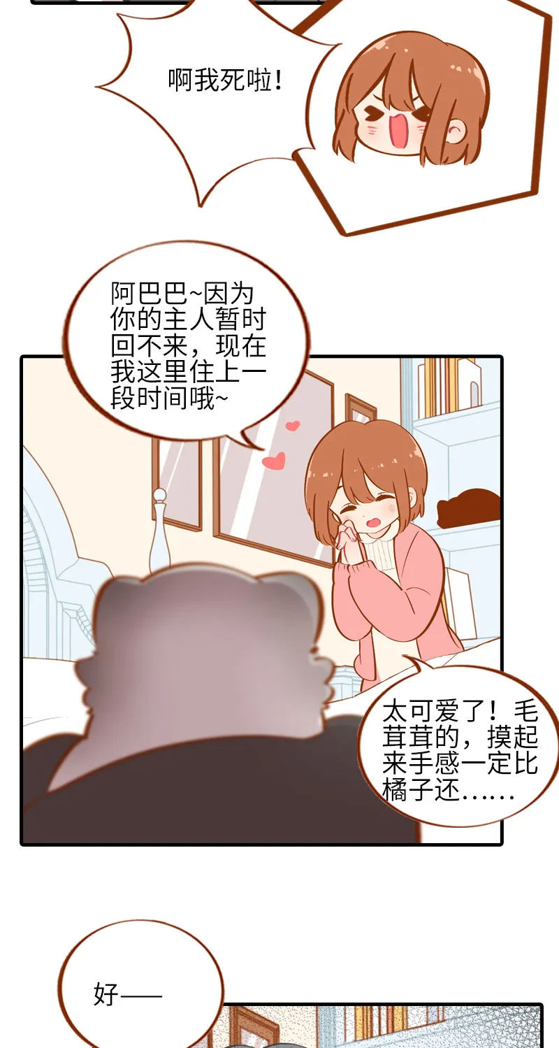 第35话 橘子和阿巴巴的初次见面 第6页