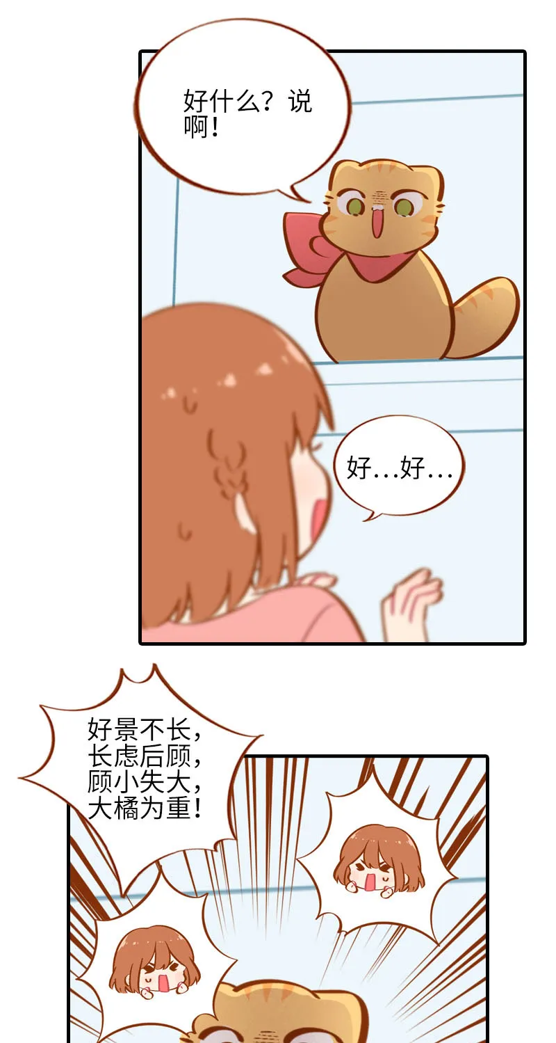 第35话 橘子和阿巴巴的初次见面 第8页