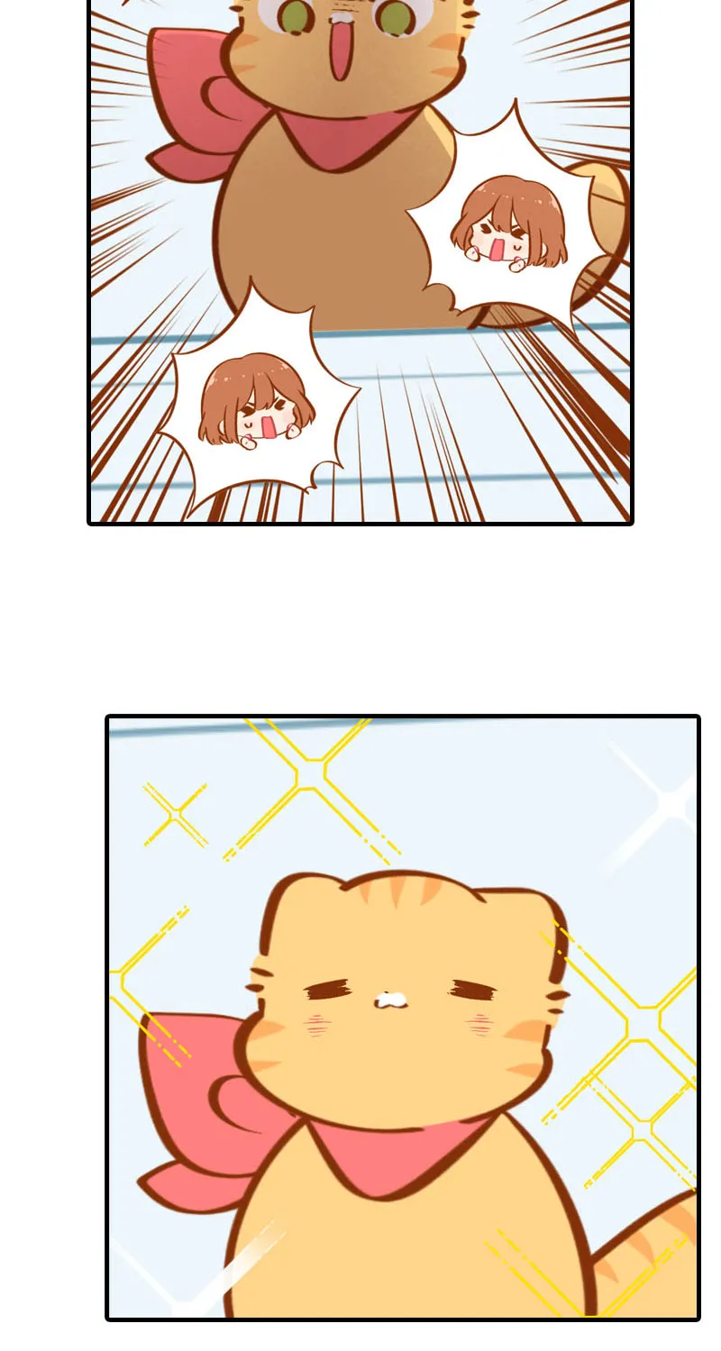 第35话 橘子和阿巴巴的初次见面 第9页