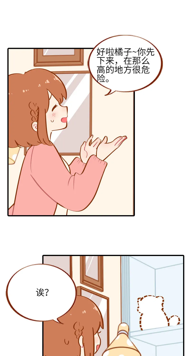 第36话 橘子！地位不保？！ 第2页