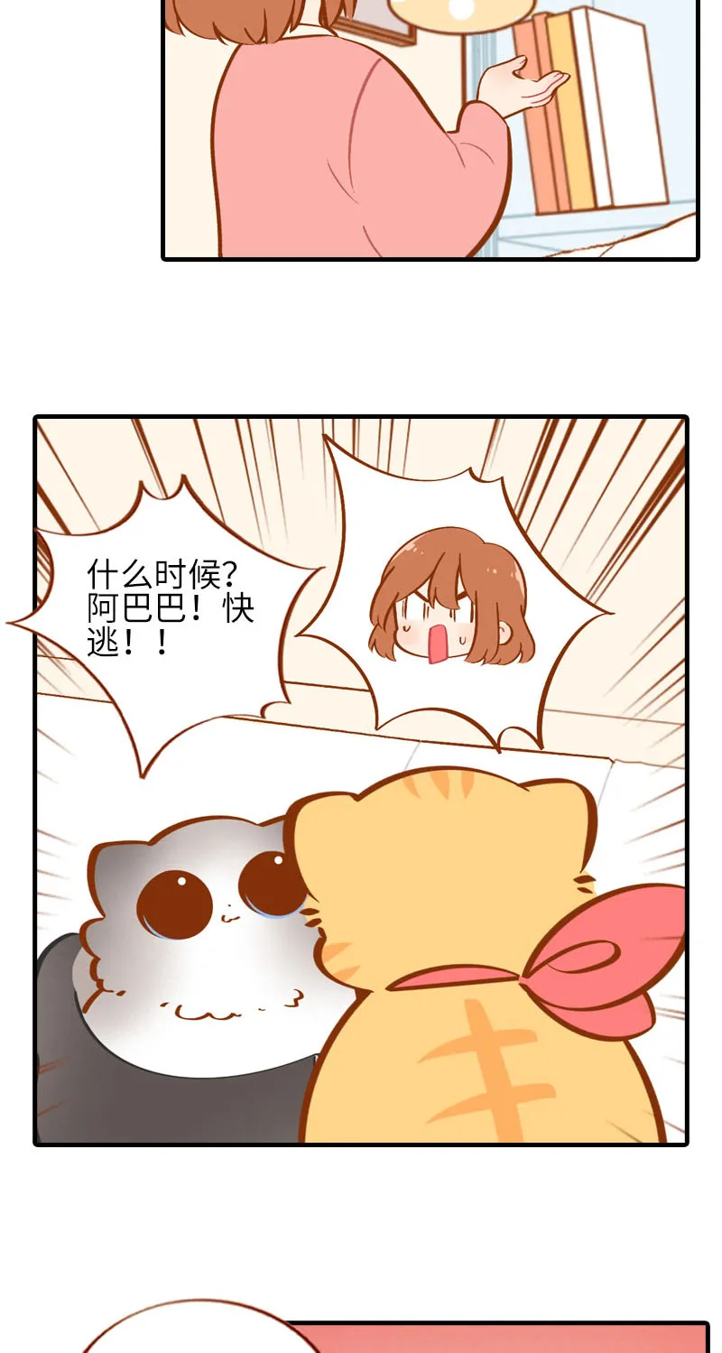 第36话 橘子！地位不保？！ 第3页