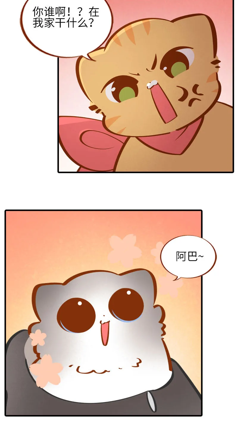 第36话 橘子！地位不保？！ 第4页
