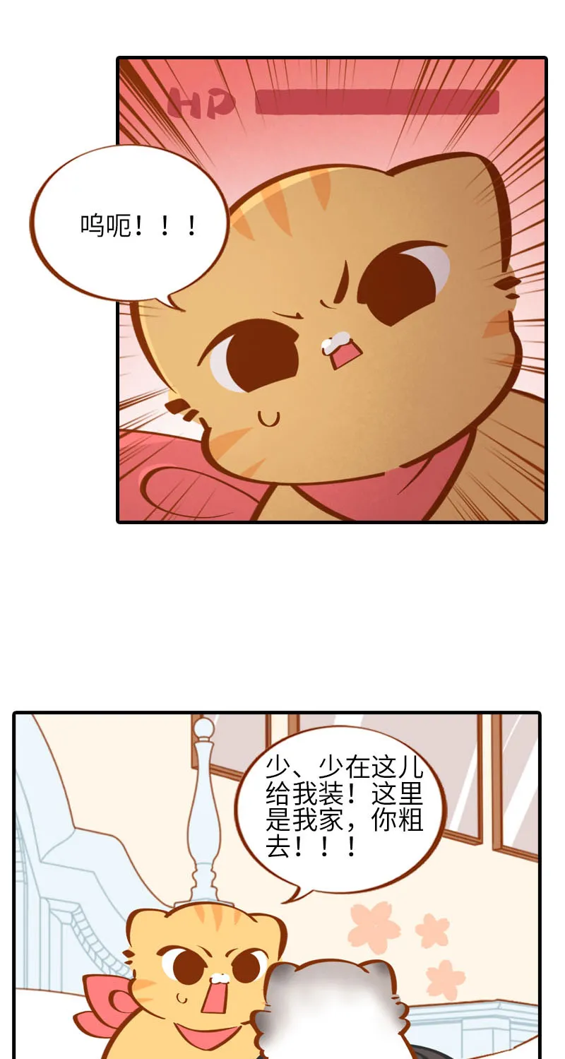 第36话 橘子！地位不保？！ 第5页