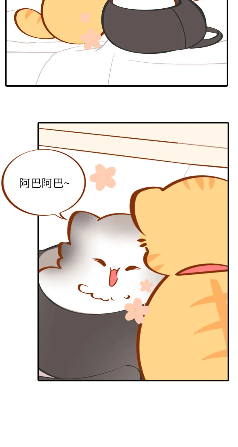 第36话 橘子！地位不保？！ 第6页