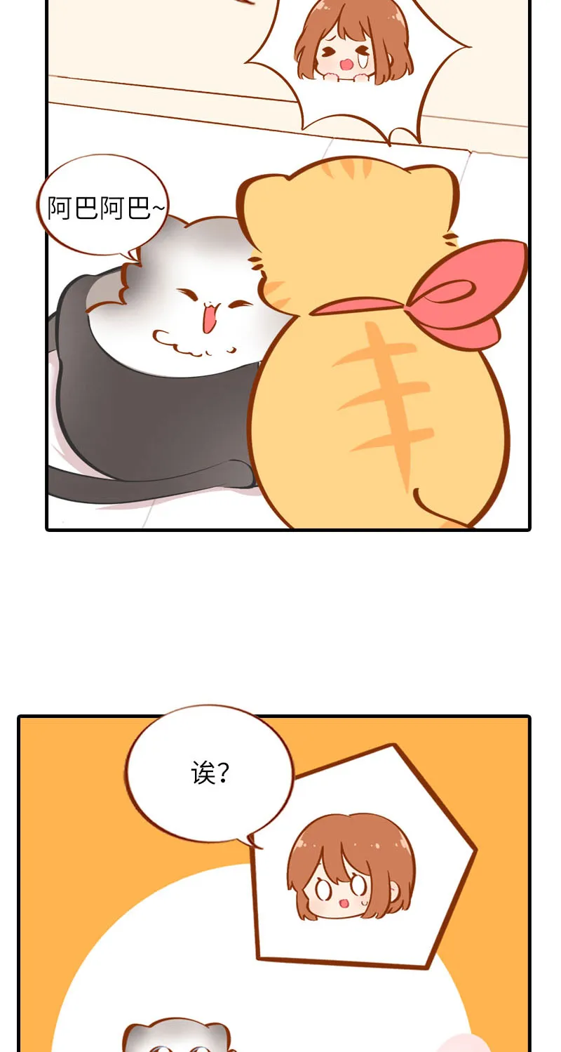 第36话 橘子！地位不保？！ 第9页