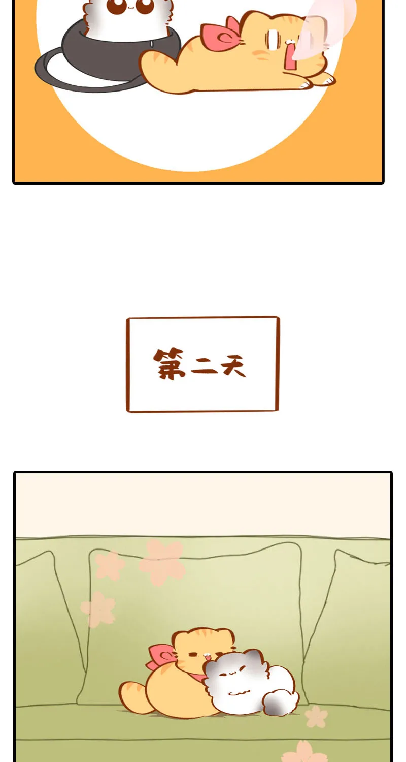 第36话 橘子！地位不保？！ 第10页