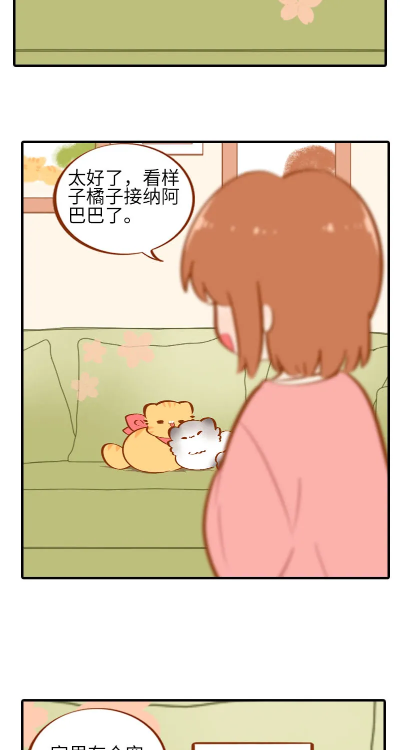 第36话 橘子！地位不保？！ 第11页