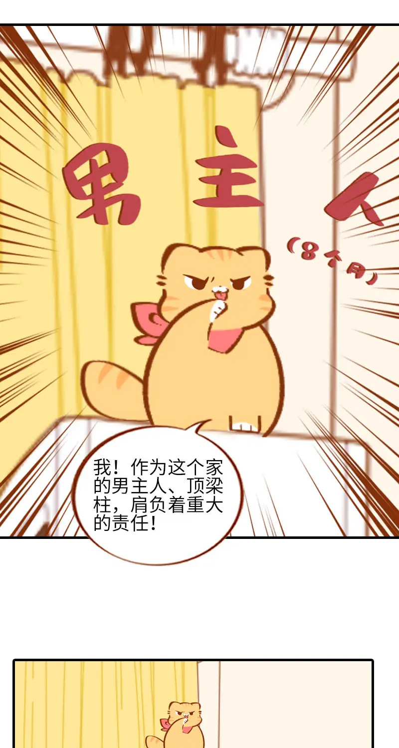 第37话 最没排面的男主人 第3页