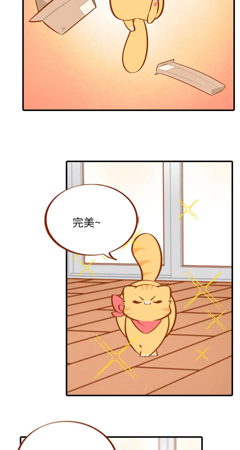 第37话 最没排面的男主人 第9页