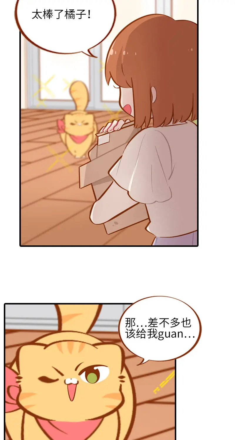 第37话 最没排面的男主人 第10页