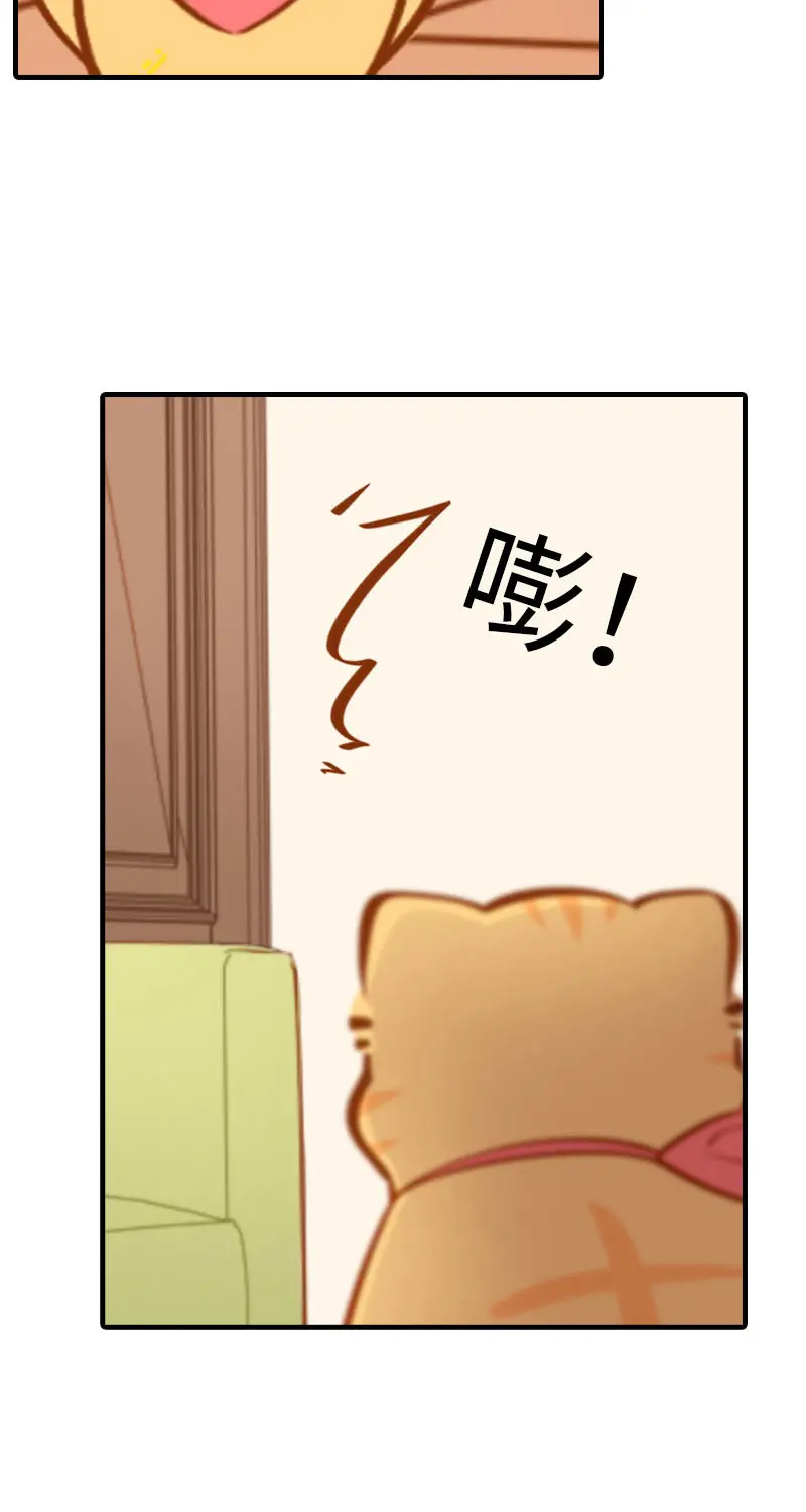 第37话 最没排面的男主人 第11页