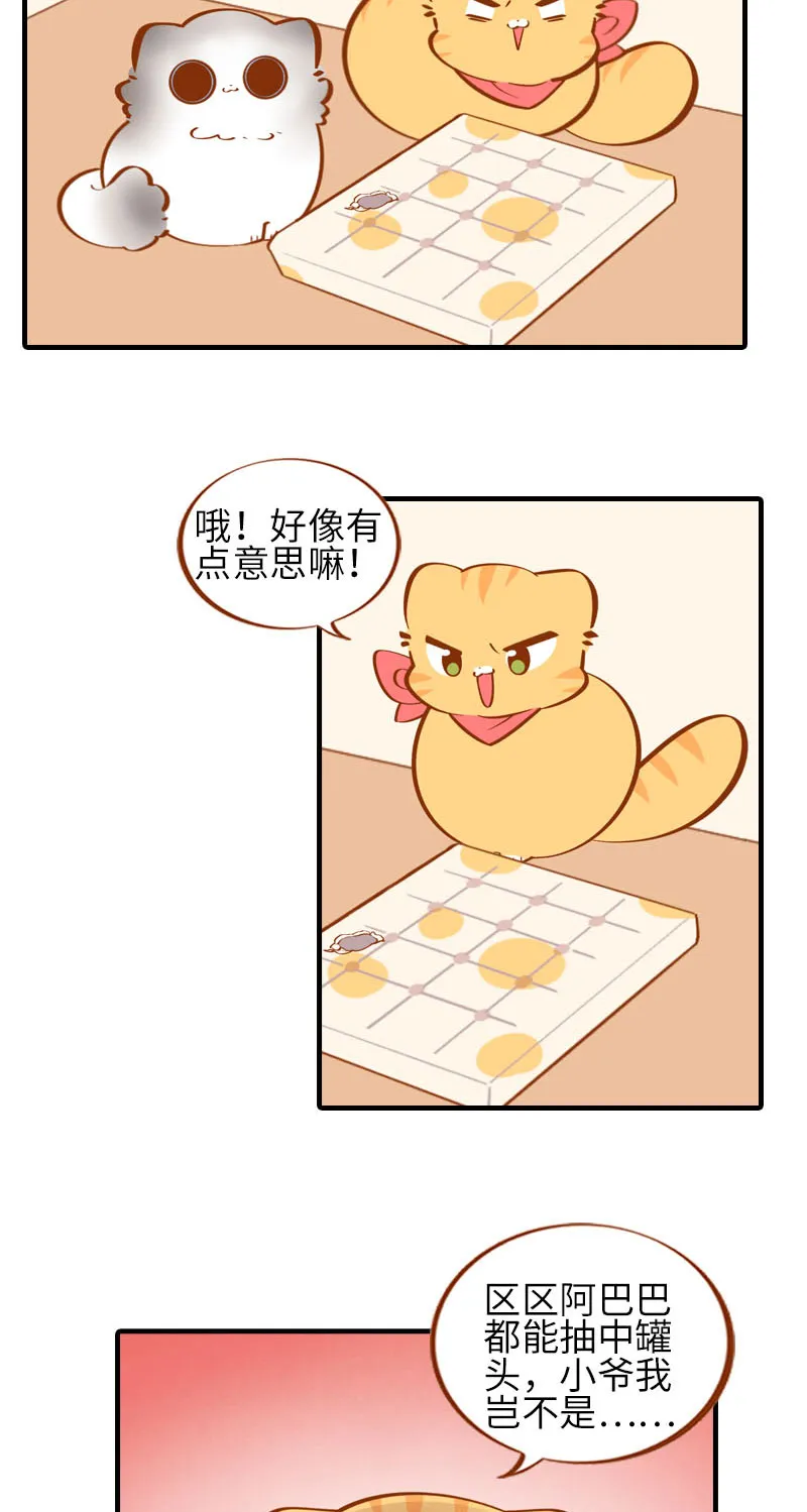第38话 抽个盲盒 第5页